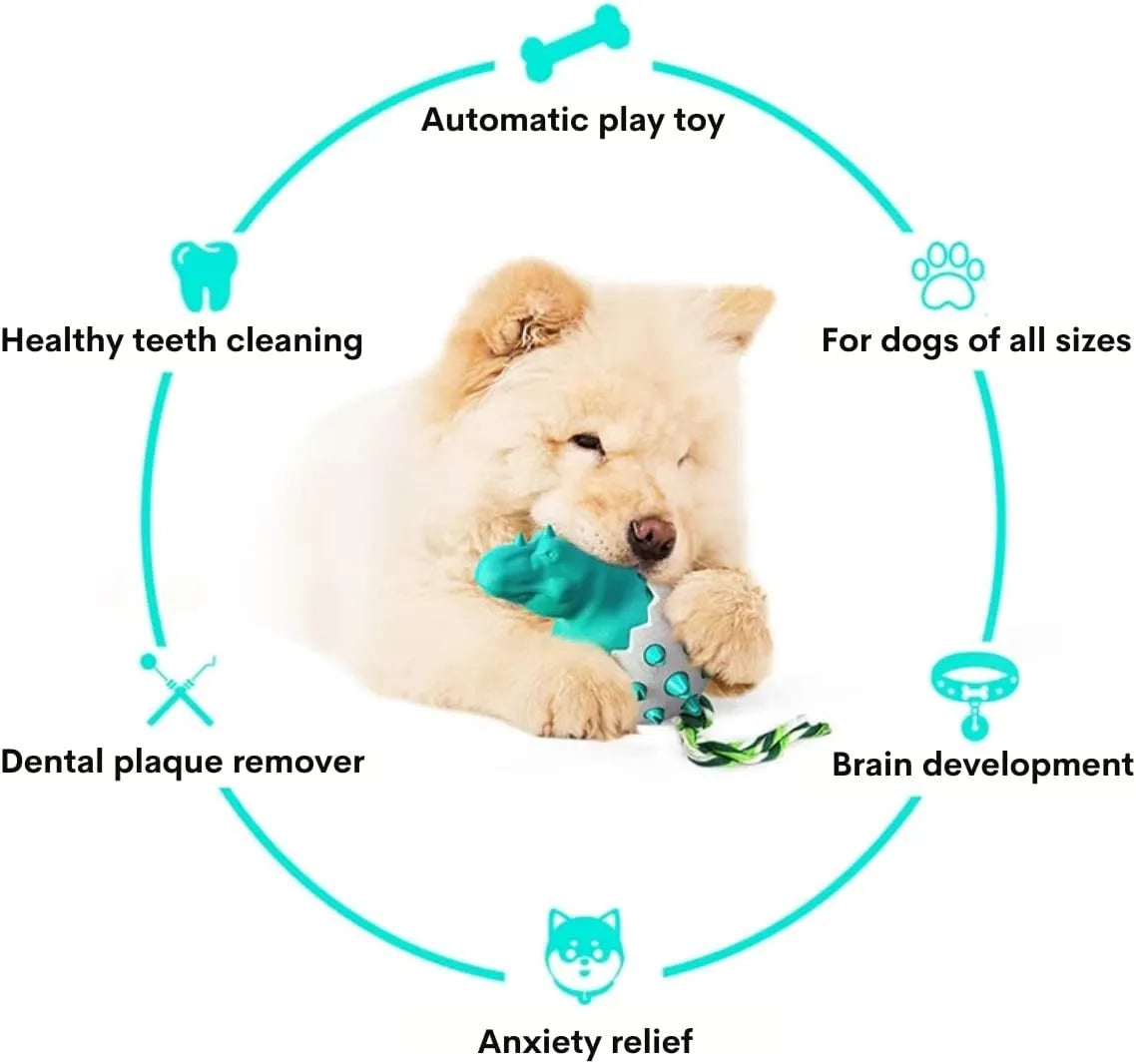 Blue durable rubber and nylon dinosaur-shaped dog chew toy with an integrated rope for fetch and tug games.