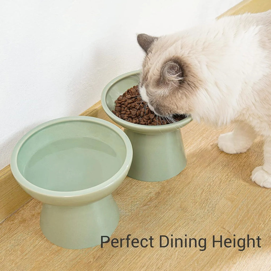 Blue ceramic elevated cat food bowl with wide shallow dish for whisker fatigue prevention.