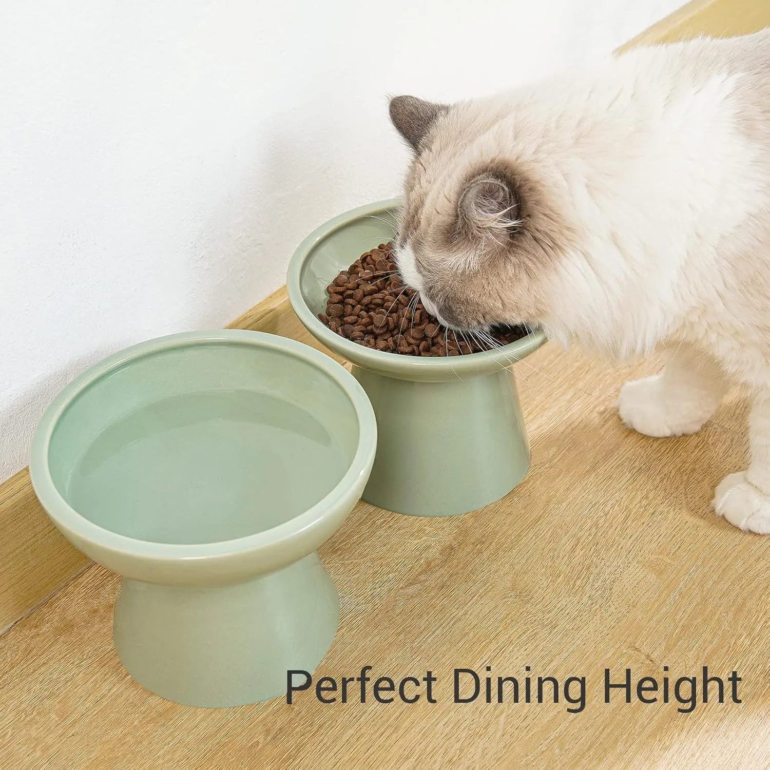 Blue ceramic elevated cat food bowl with wide shallow dish for whisker fatigue prevention.