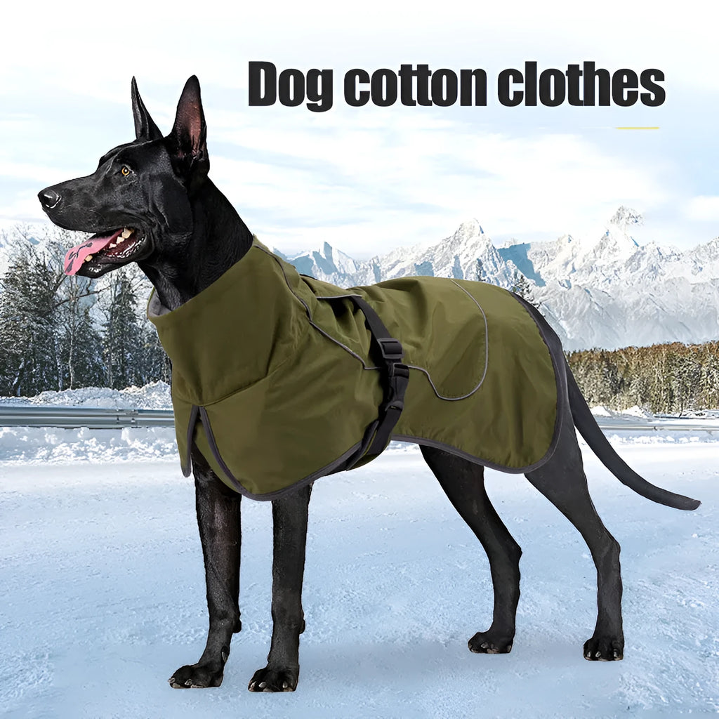 Medium to large dog wearing winter snowproof coat in army green made from waterproof nylon with casual style