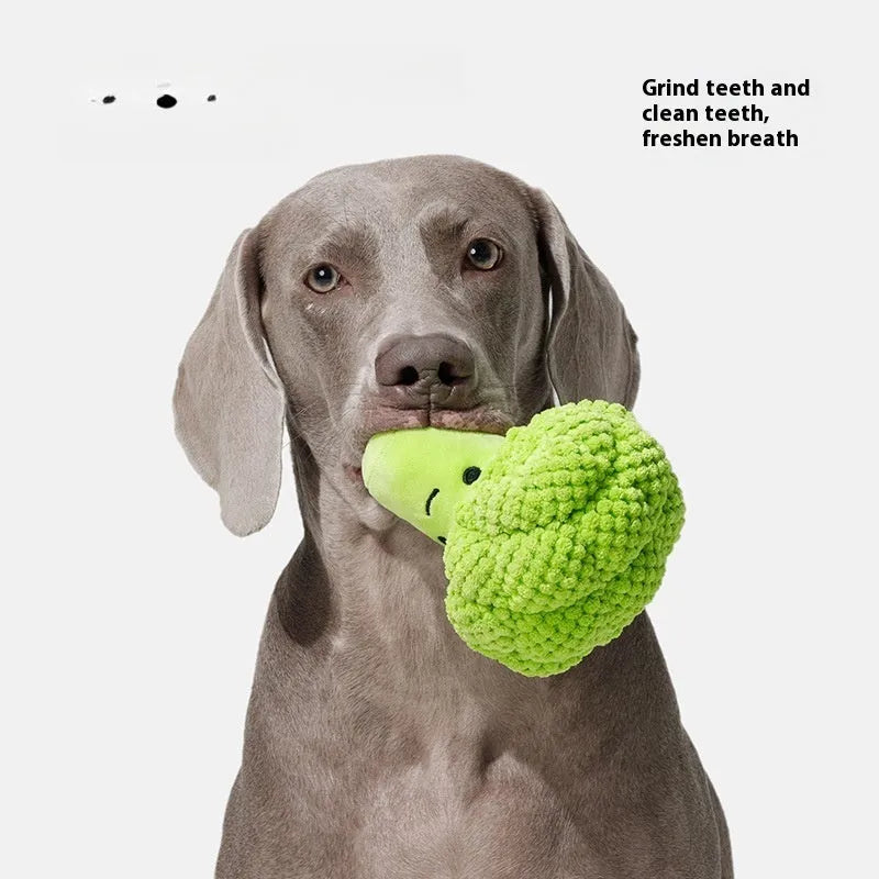 Broccoli-shaped plush dog toy with squeaker for molar teeth cleaning, soft plastic and fabric construction