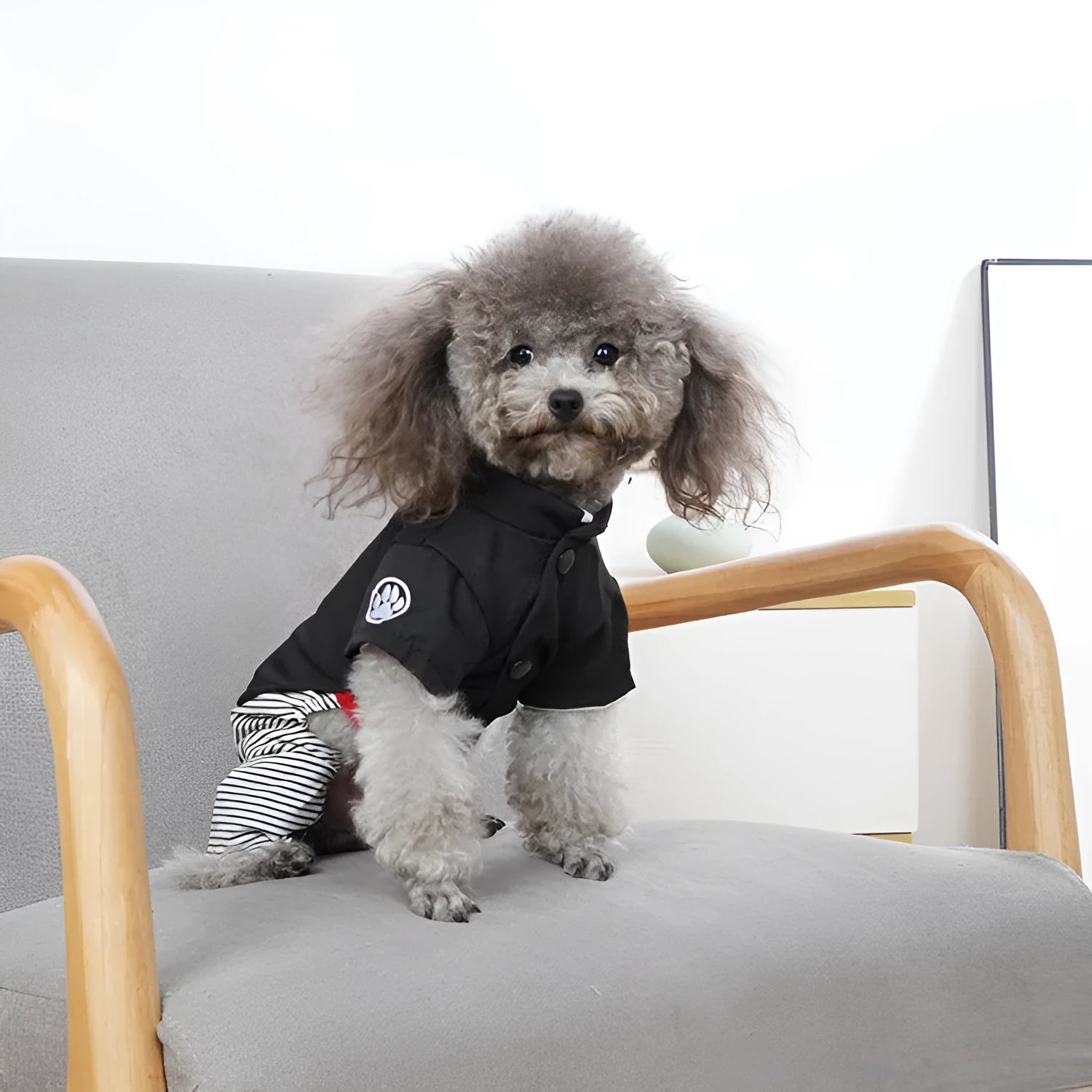 Thin cotton poodle dog clothes in four-legged pants and skirt styles for seasonal wear