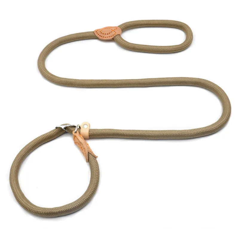 Dog training leash with blast collar mechanism in black, blue, coffee, red or white colour options