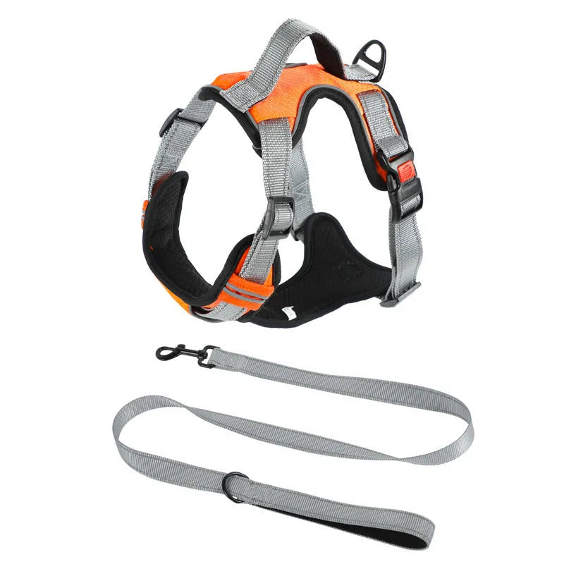Adjustable dog harness with hand holding rope on back in various colours and sizes