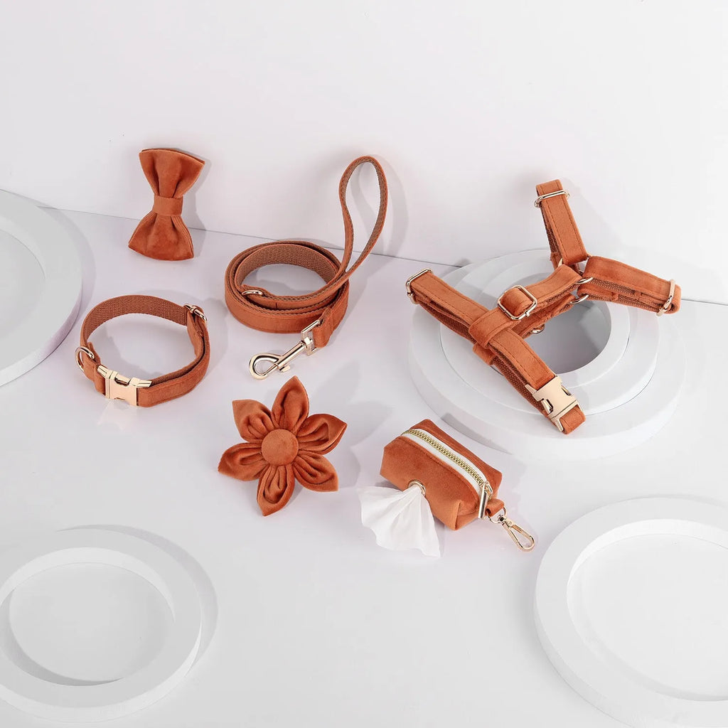 Velvet pet collar and matching traction rope set with chest strap, bow tie, flower accessory, and toilet bag