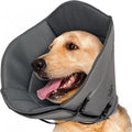 Adjustable polyester pet sterilization collar shown in a casual style, available in three sizes.