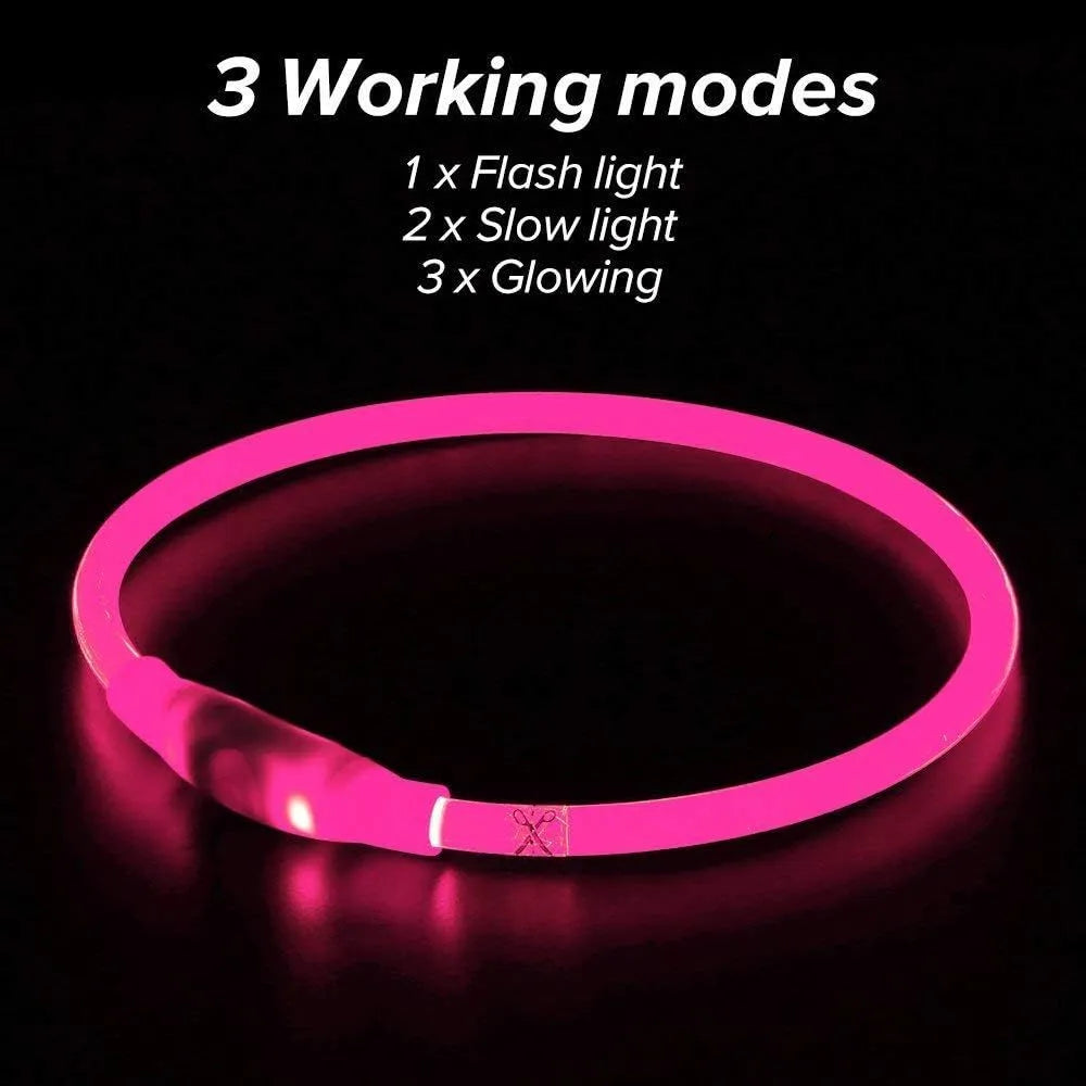 Blue USB-rechargeable LED dog collar glowing on a pet's neck for night-time safety.
