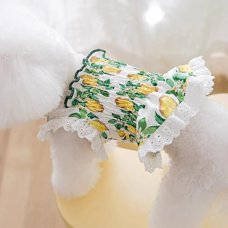 Rock yellow lemon polyester dog dress with thin strap skirt design shown on mannequin