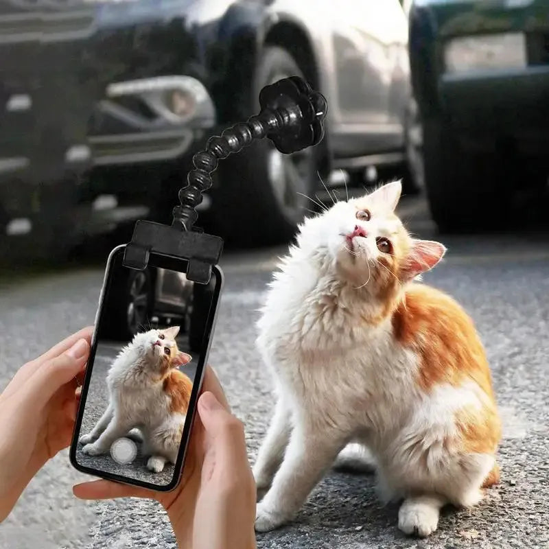 Black plastic pet photography clip tool holding mobile phone with snack grip attachment