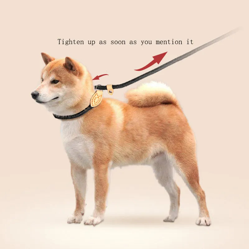 Dog training leash with blast collar mechanism in black, blue, coffee, red or white colour options