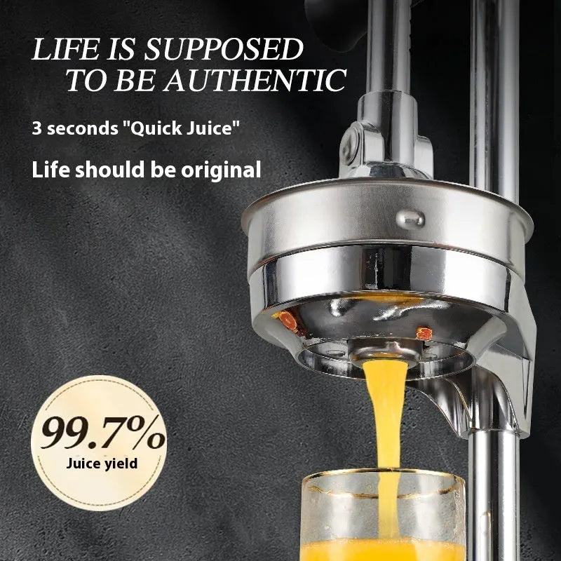 Vertical stainless steel manual juicer showing colour and head type options: pointed, flat, and double-headed.
