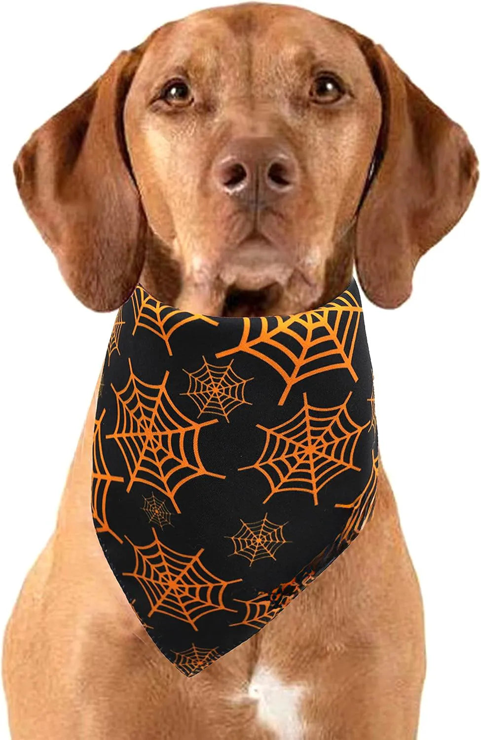 Halloween dog bandana with reversible pumpkin and spider web patterns on black and orange fabric