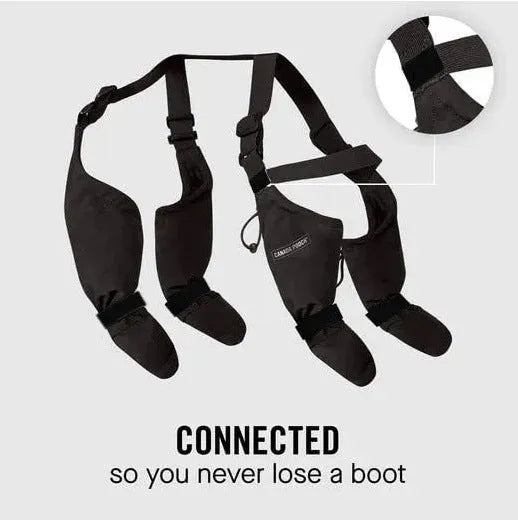 Black waterproof dog shoes with adjustable straps on a dog's paw.