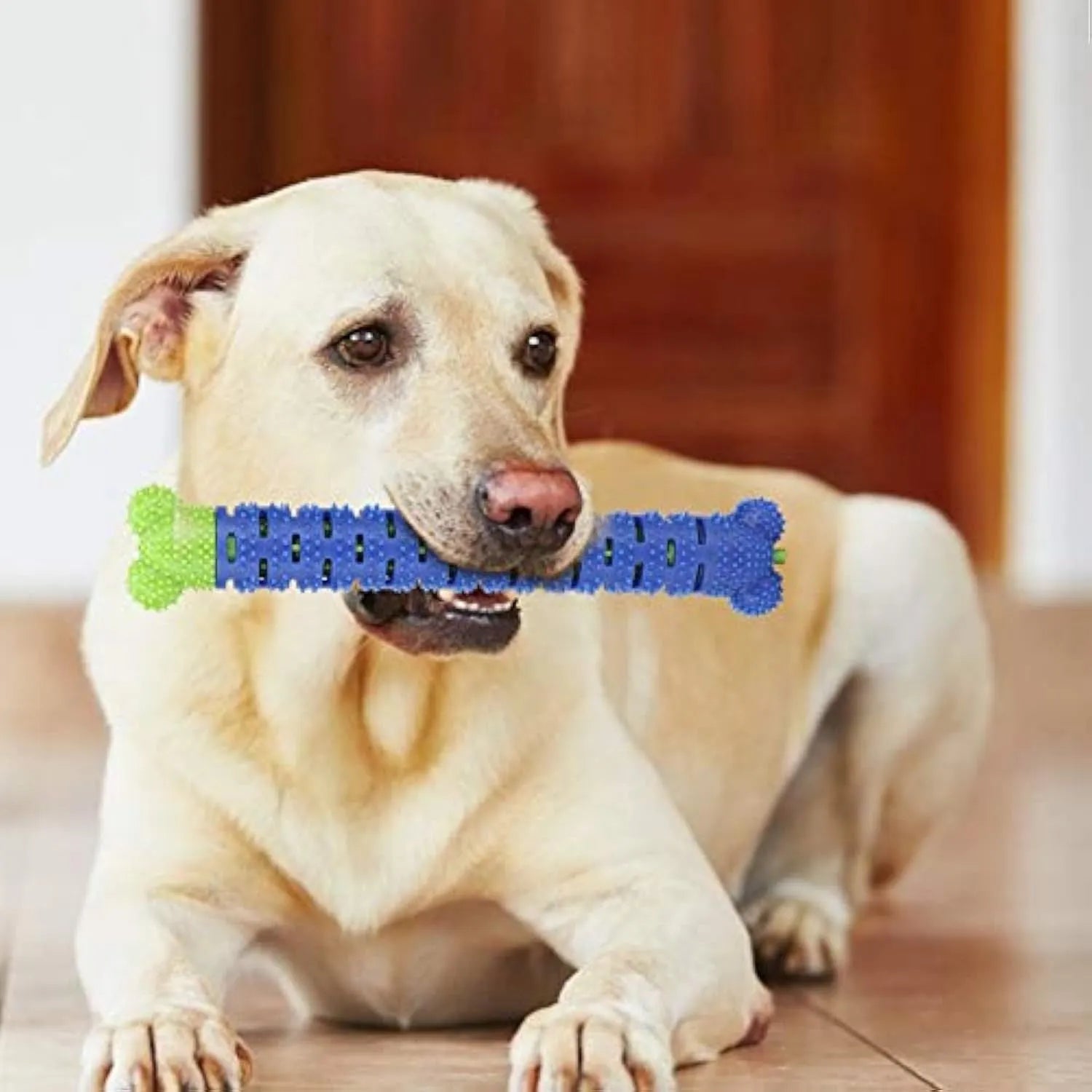Blue and green silicone dog dental cleaning stick with textured bristles and nodules, 25 cm length