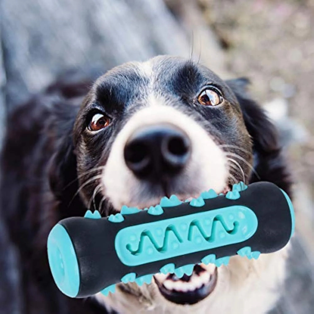 Natural rubber dog dental chew toy in blue colour with textured cleaning surfaces.