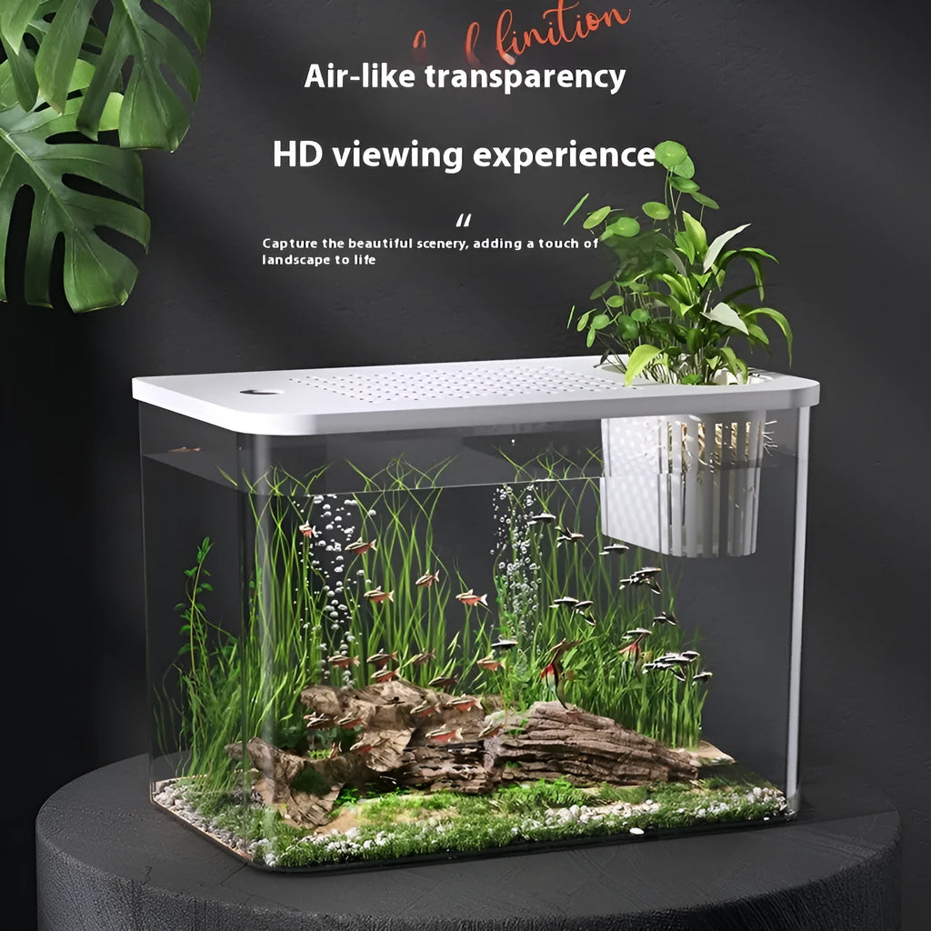 Medium plastic betta fish tank with cover measuring 32cm x 18.5cm x 23cm in black or white colour