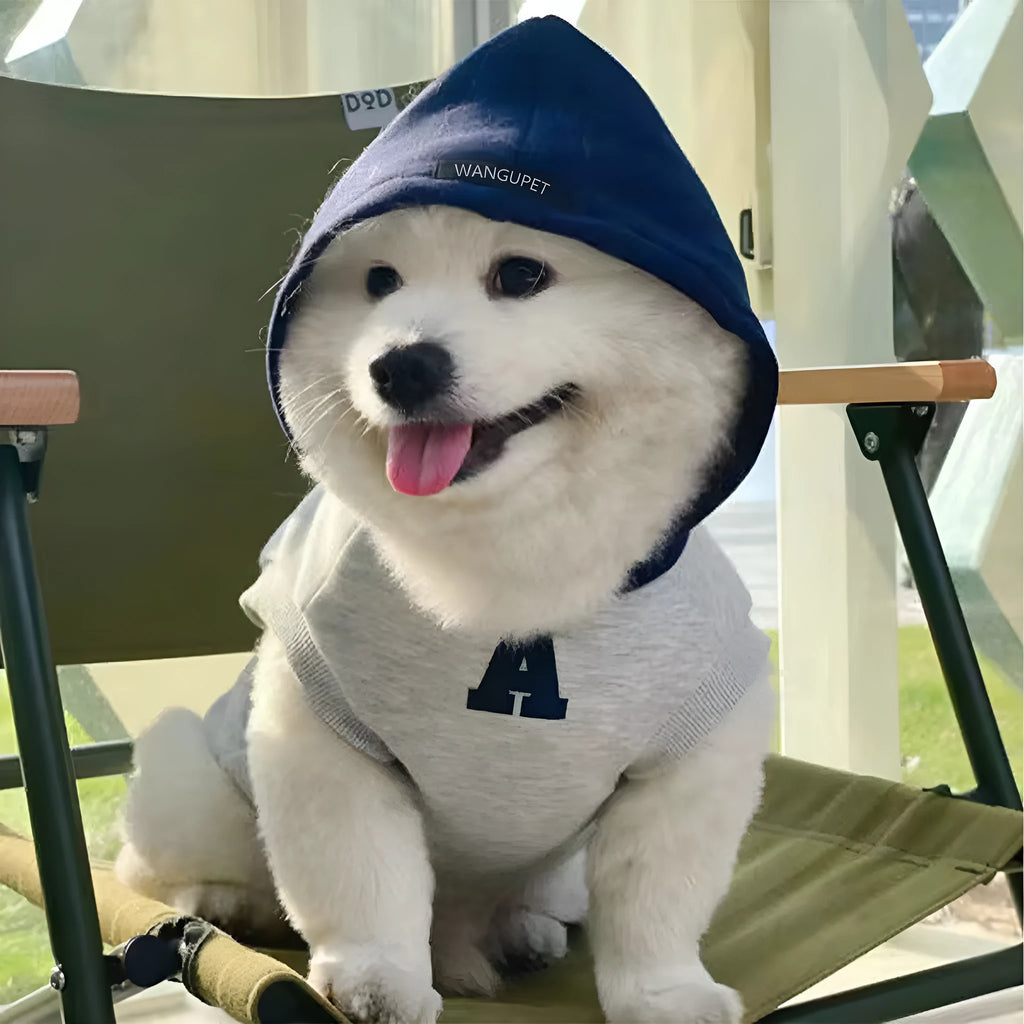 Blue and grey white pet hoodie with reflective letters for dogs and cats in slim-fitting design