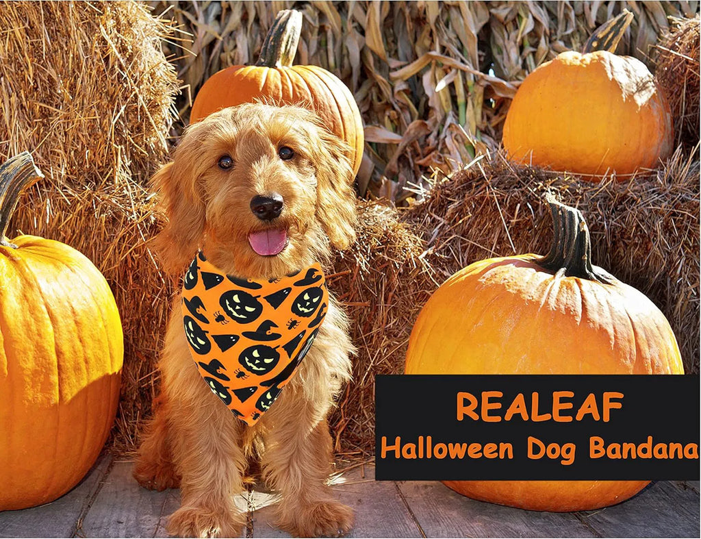 Halloween dog bandana with reversible pumpkin and spider web patterns on black and orange fabric