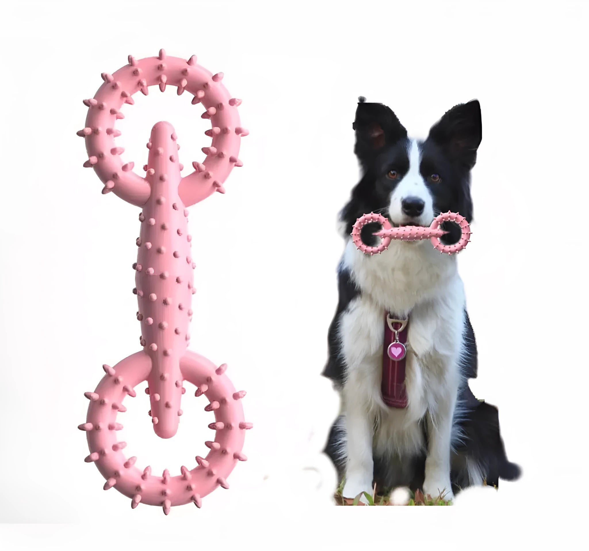 Blue TPR dog chew toy ring measuring 16cm diameter for puppy teething relief