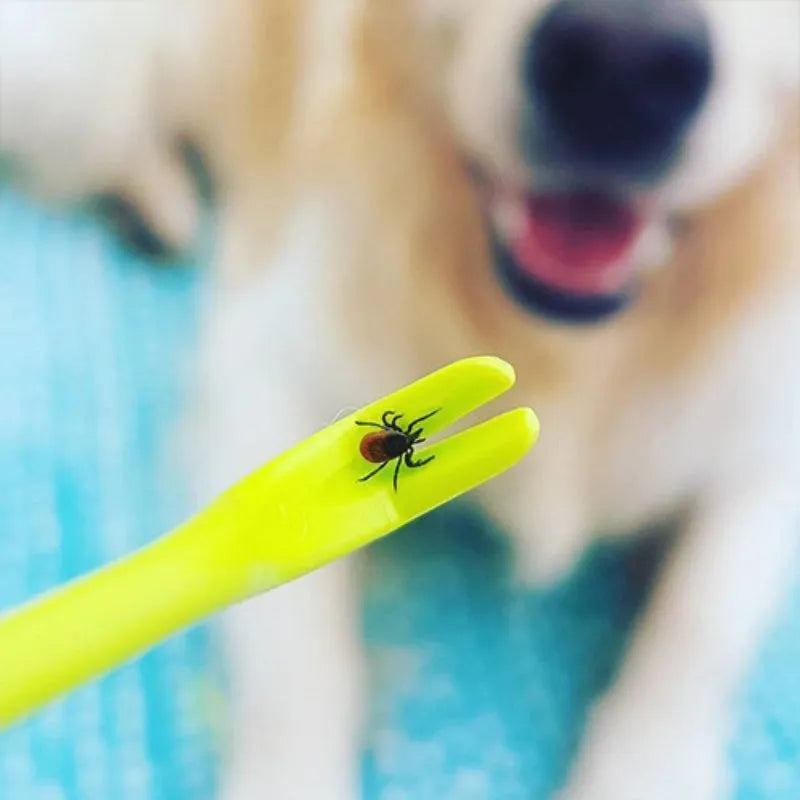 Three plastic tick removal hook tools for dogs and cats in blue colour