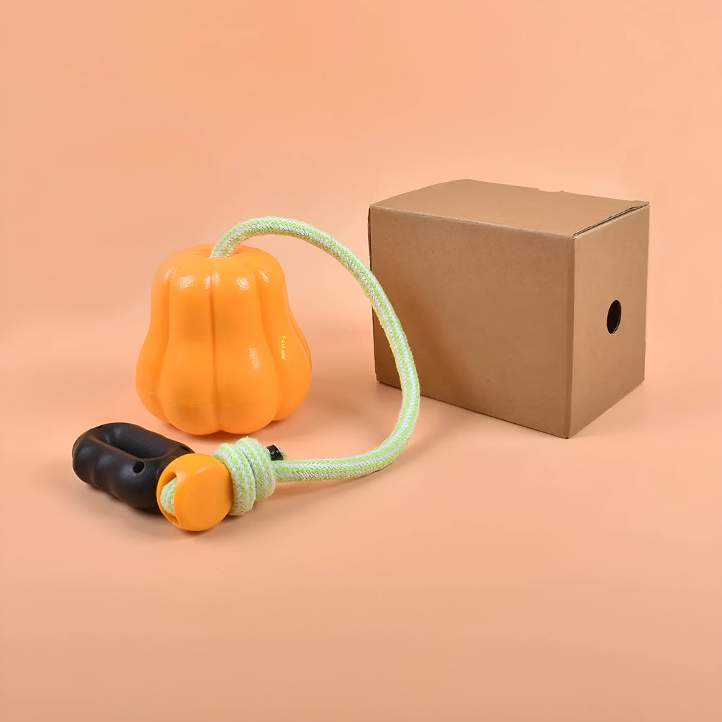 Orange plastic dog fetch toy with rope attachment for outdoor play
