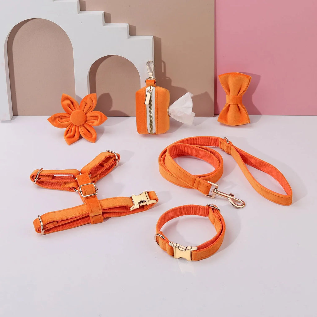Velvet pet collar and matching traction rope set with chest strap, bow tie, flower accessory, and toilet bag