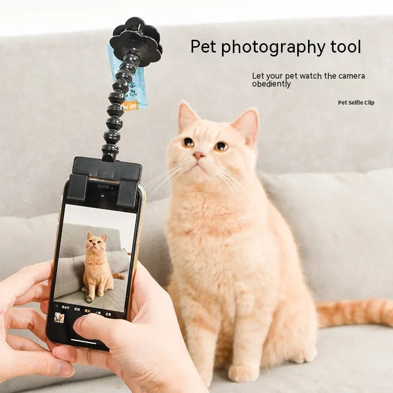 Black plastic pet photography clip tool holding mobile phone with snack grip attachment
