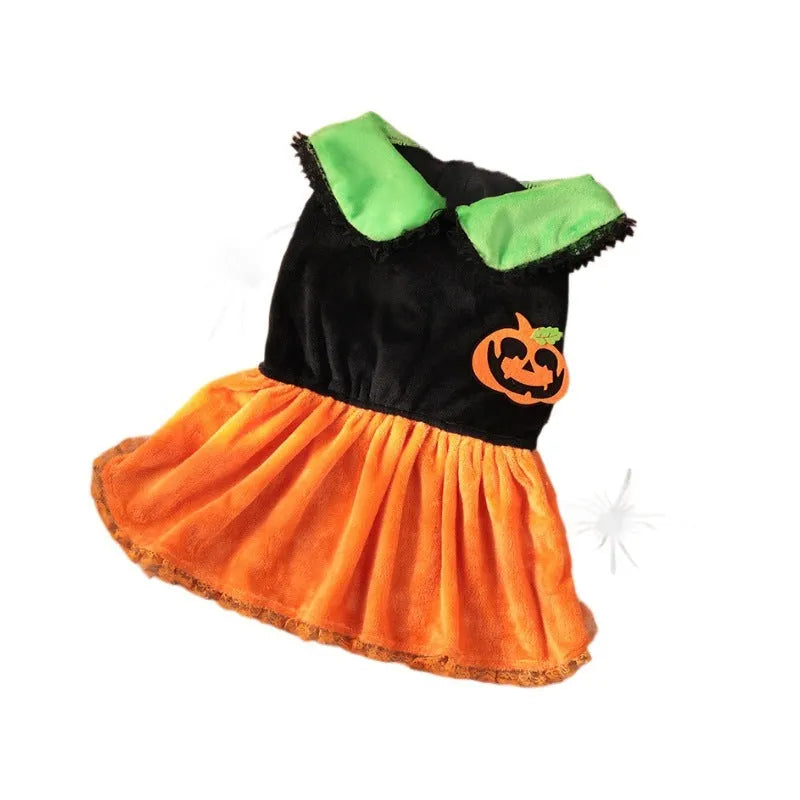 Halloween pet costume: orange pumpkin skirt and black Halloween sweater for small dogs and cats on hangers.
