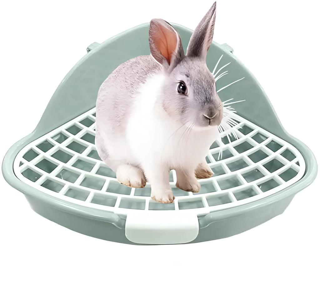 Triangle plastic rabbit litter box in blue with low front entry for small pets