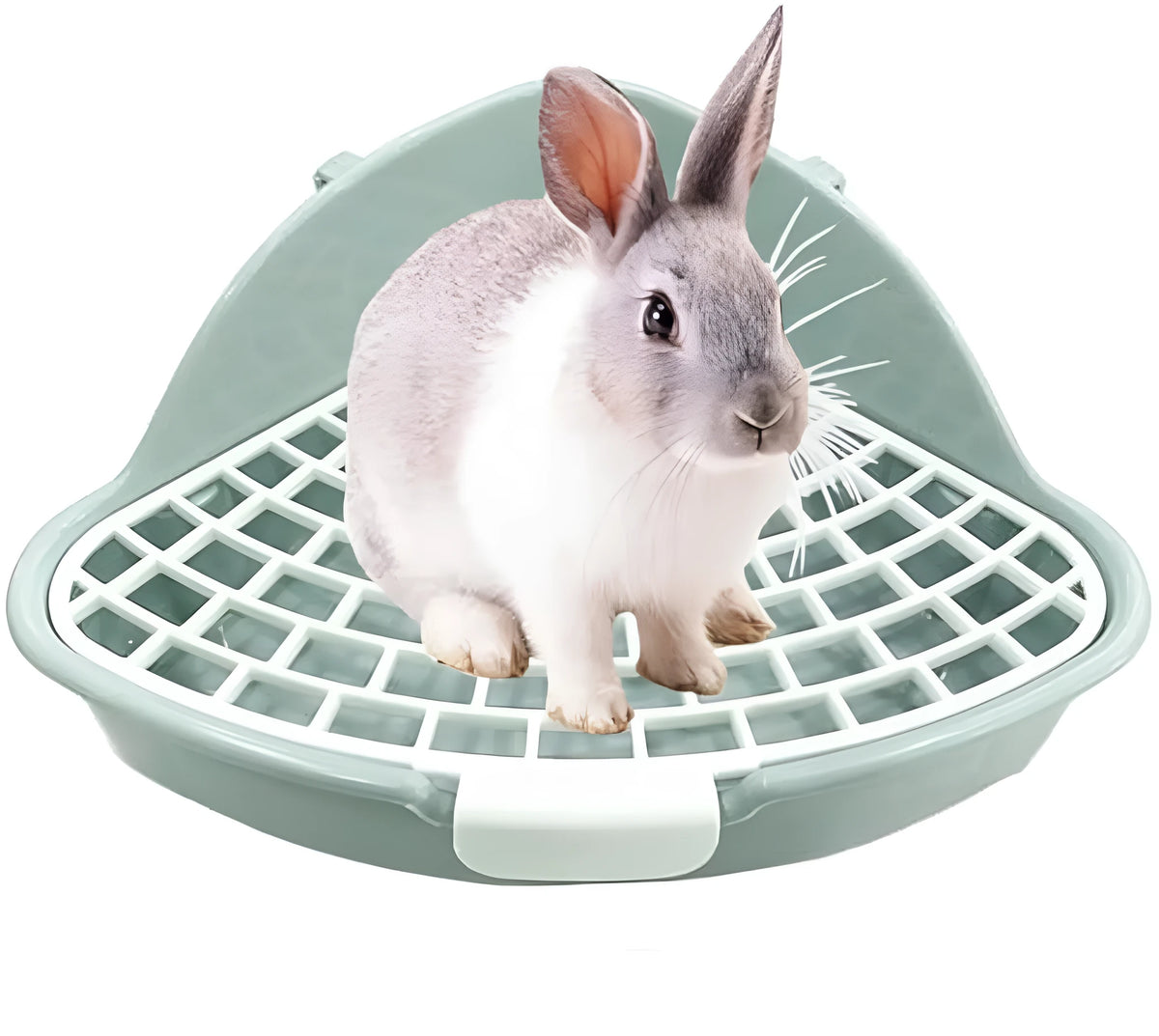 Triangle plastic rabbit litter box in blue with low front entry for small pets
