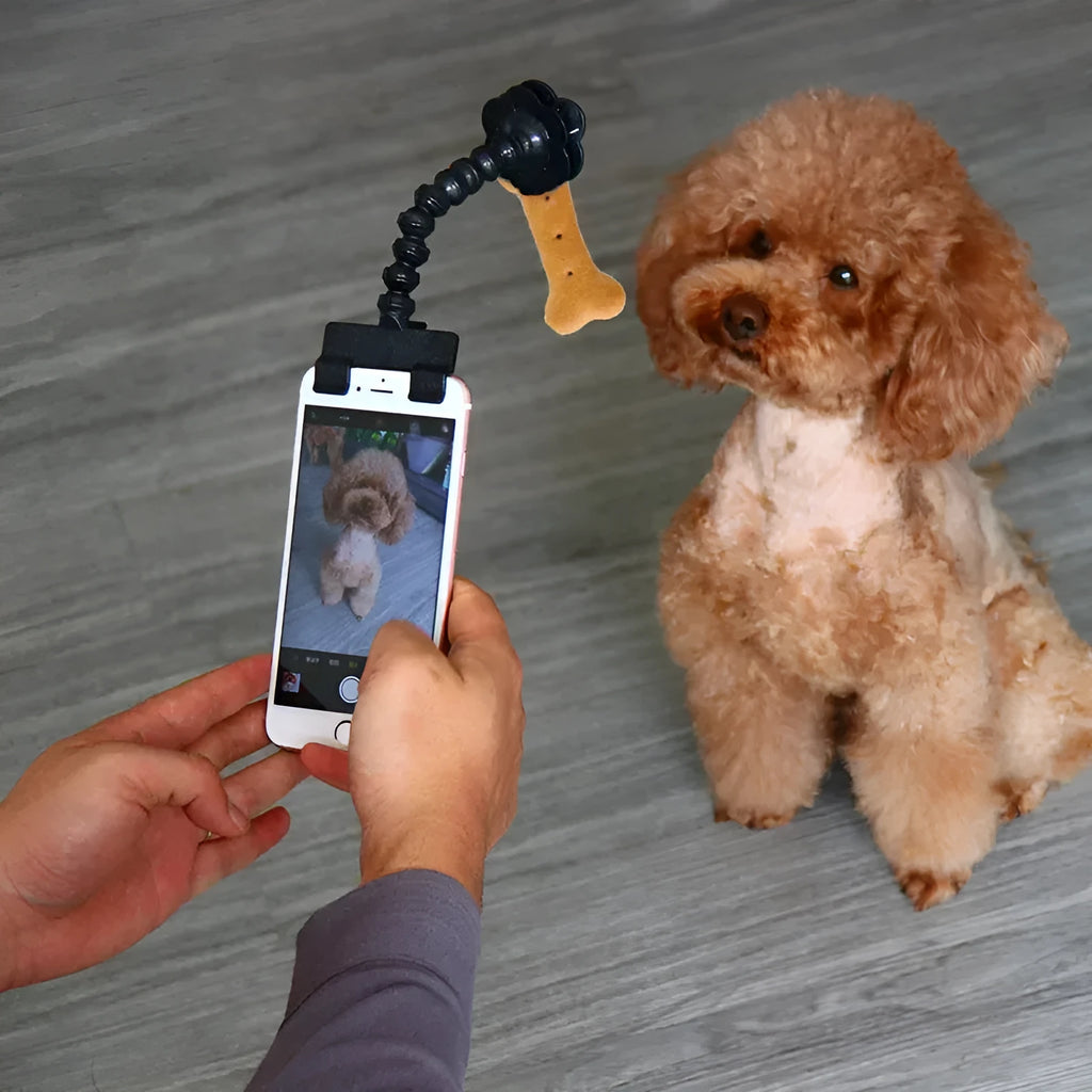 Black plastic pet photography clip tool holding mobile phone with snack grip attachment