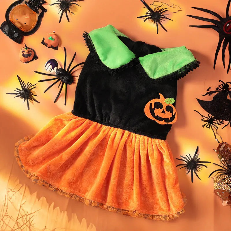 Halloween pet costume: orange pumpkin skirt and black Halloween sweater for small dogs and cats on hangers.