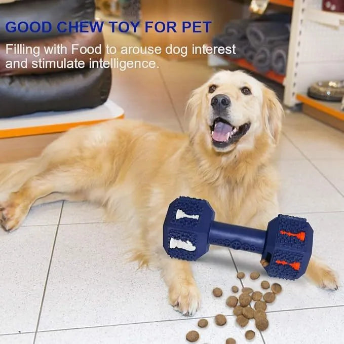 A blue dumbbell-shaped dog chew toy with a textured surface and hollow ends for treats.