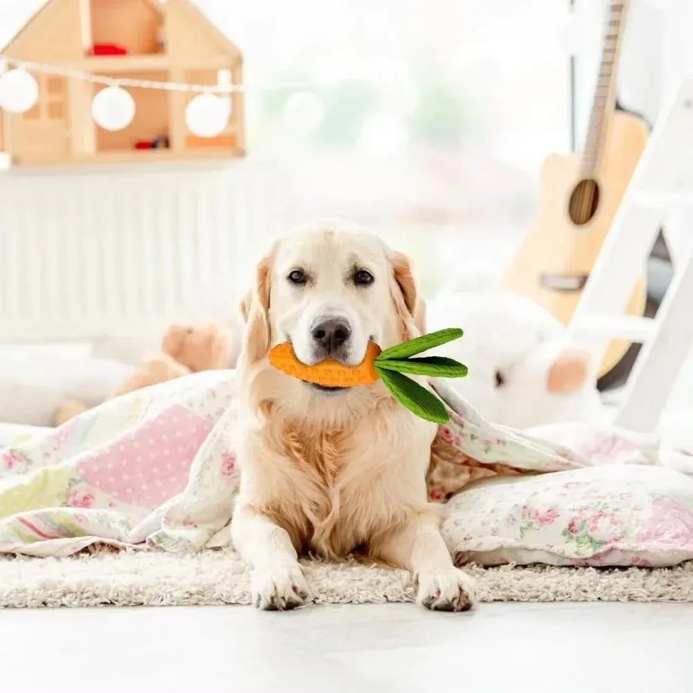 Orange carrot-shaped dog chew toy with rubber and plush texture, 21cm long, suitable for all breeds