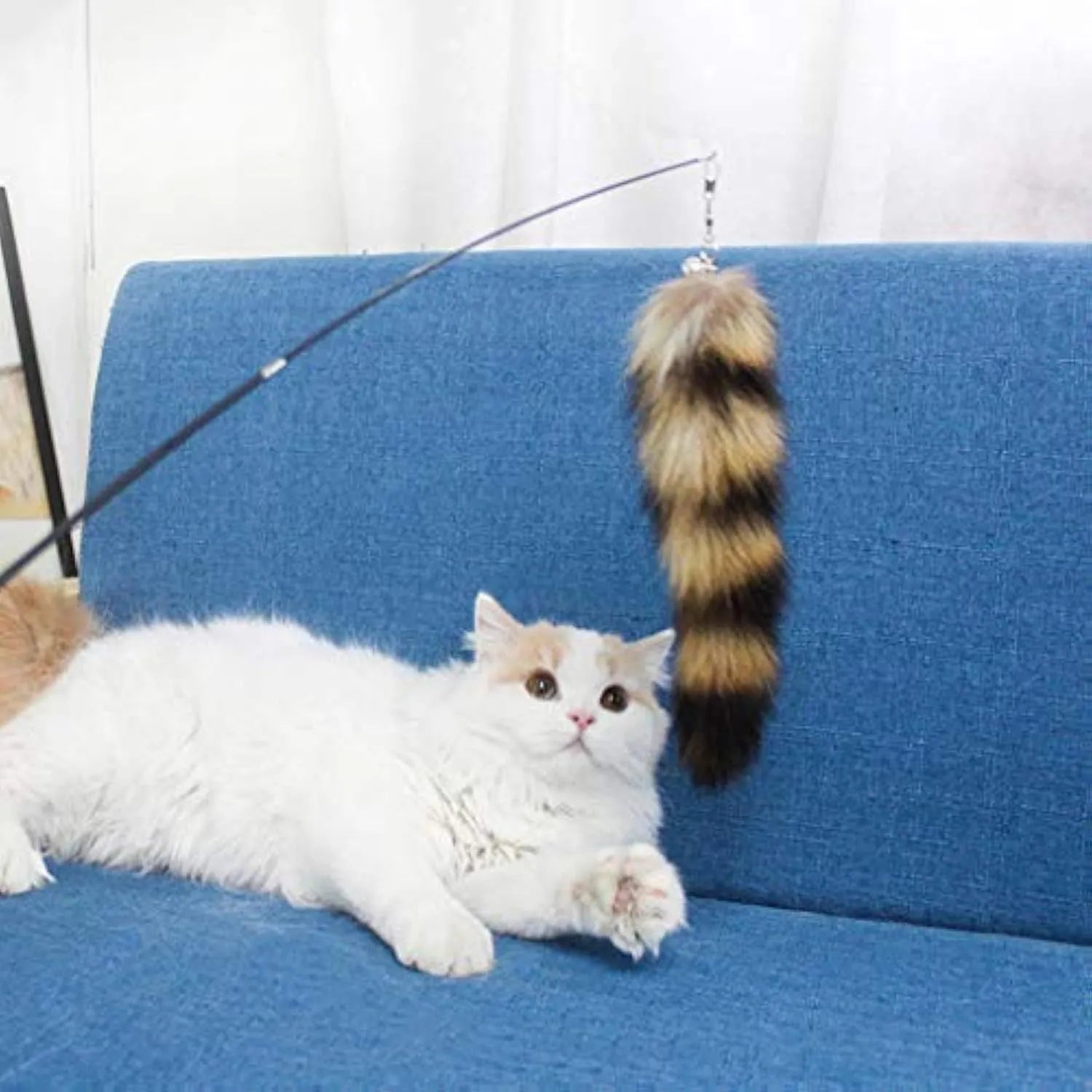 Black cat toy wand with feather attachment and elastic string for interactive play
