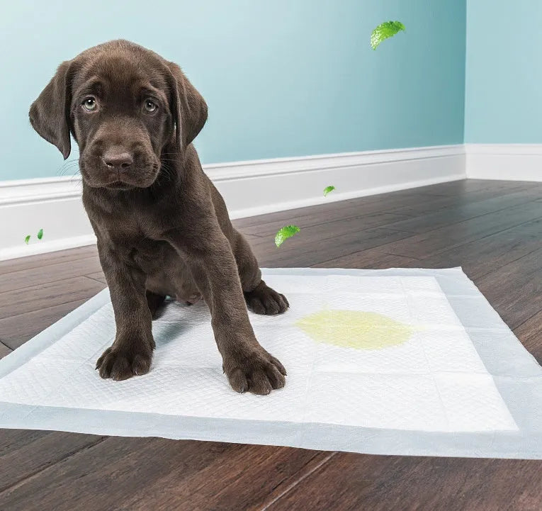 Blue disposable thickened pet diaper pad for dogs and cats with absorbent core, available in sizes XS to XL