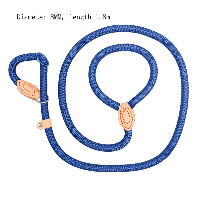 Dog training leash with blast collar mechanism in black, blue, coffee, red or white colour options