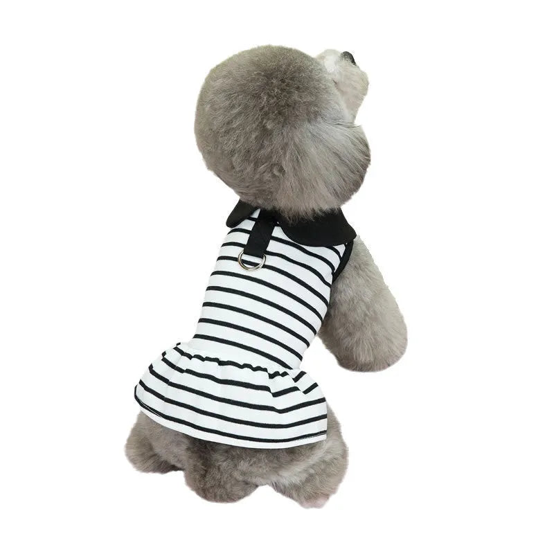 Pet dog wearing a striped t-shirt and matching skirt from a cotton summer clothing set.