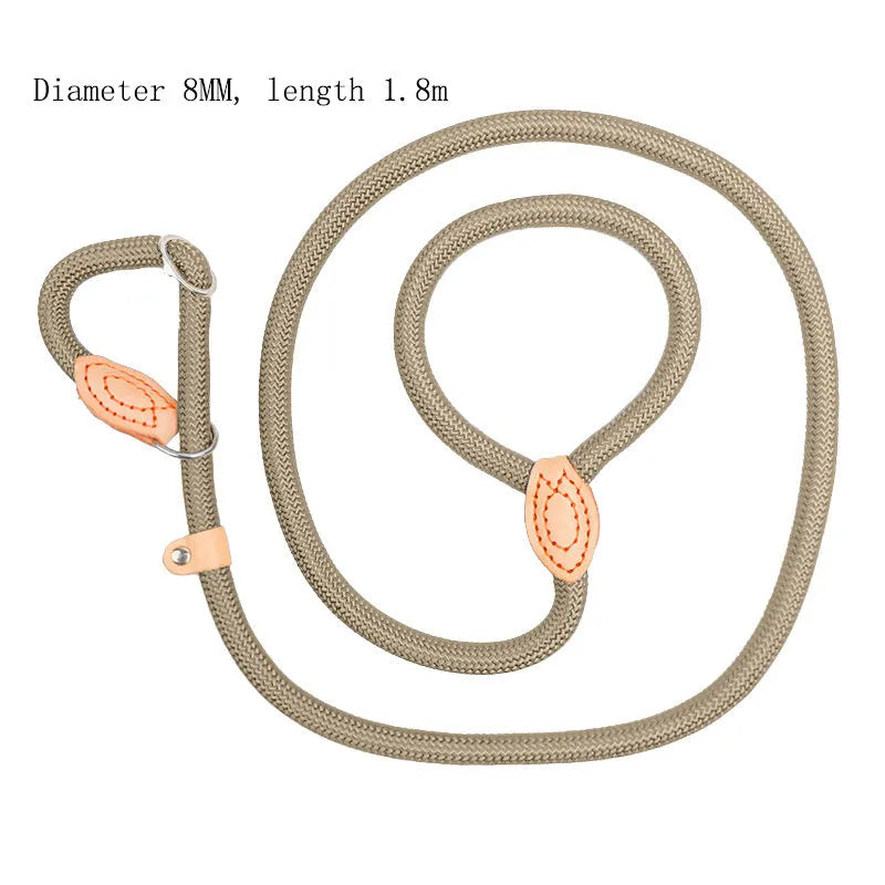 Dog training leash with blast collar mechanism in black, blue, coffee, red or white colour options