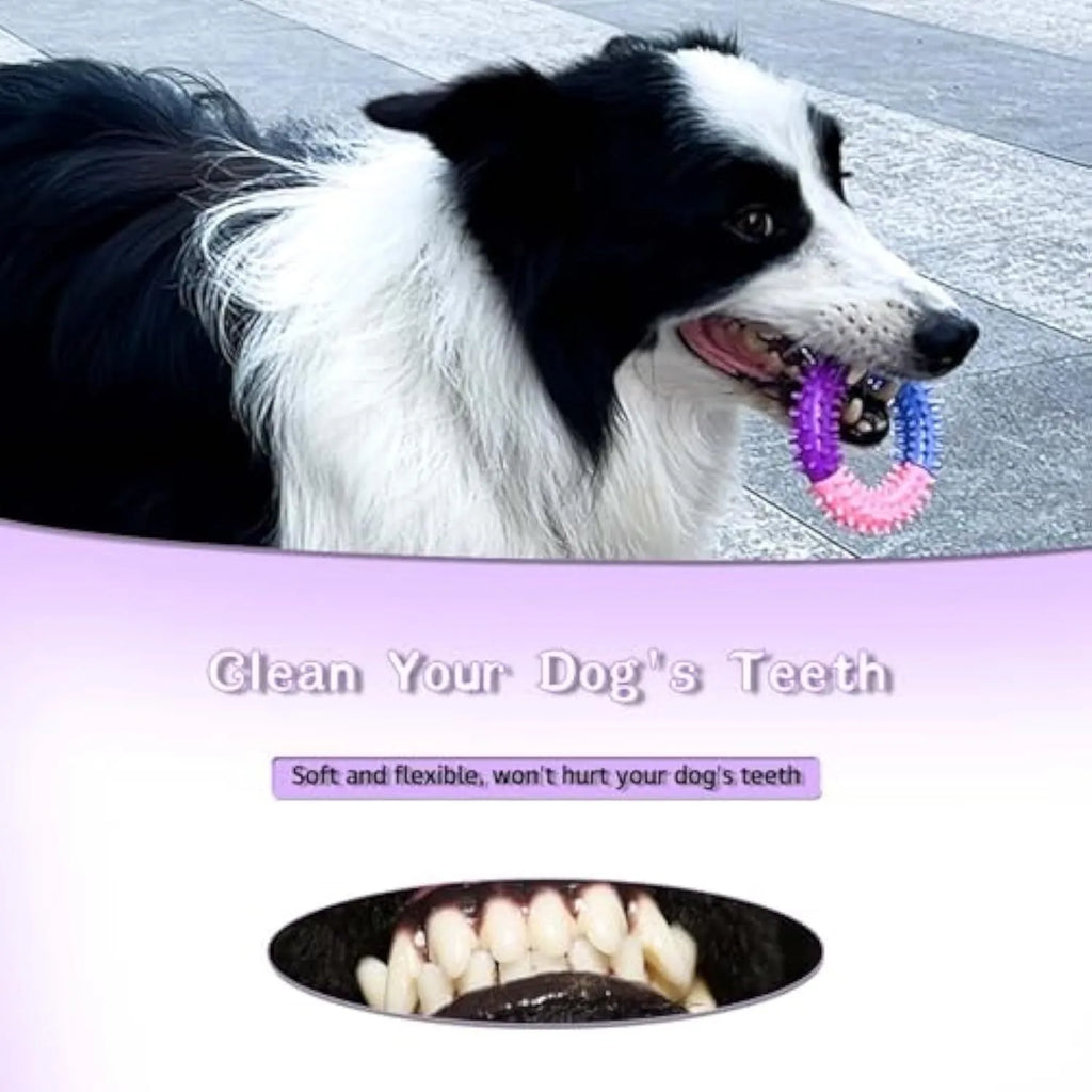 Rubber dog chew toy ring in blue for teething puppies, 10cm diameter