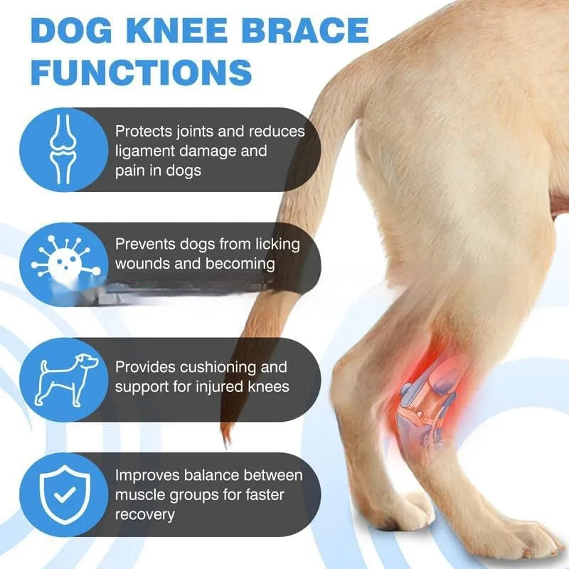 Black polyester pet leg guard for joint protection during ACL rehabilitation