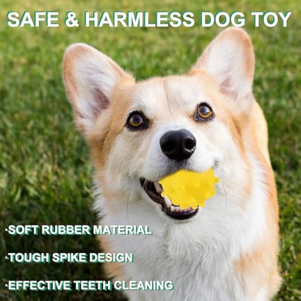 A bright blue spiky dog toy ball with a dimpled texture, shown next to a measuring tape indicating its 2-inch diameter.