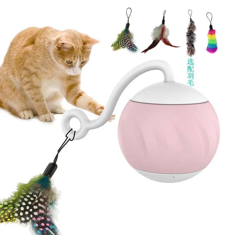 Electric LED light-up cat ball toy in watermelon red and green or orange pumpkin design.