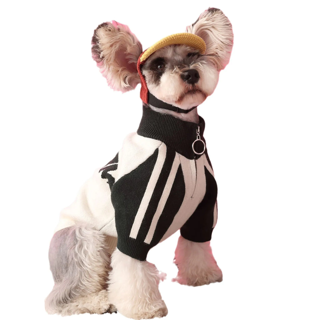 Red puppy dog sports sweater cardigan on canine model showing wool blend knit construction