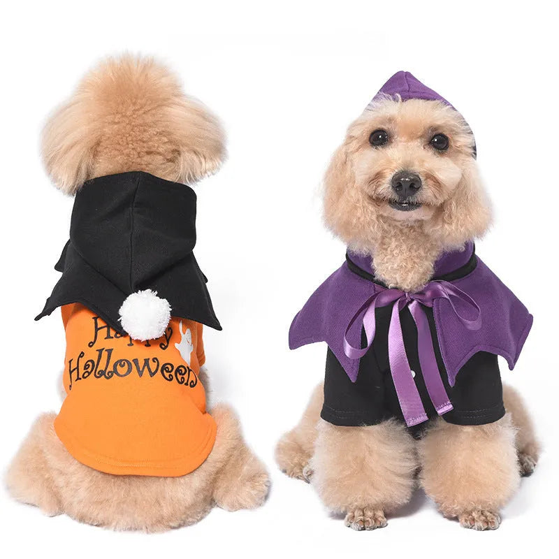 Black and orange Halloween pumpkin dog costume with sweater and shawl on pet
