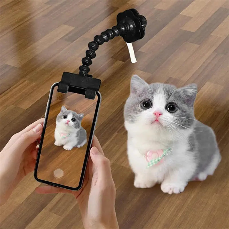 Black plastic pet photography clip tool holding mobile phone with snack grip attachment