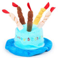 Blue dog birthday hat with elastic chin strap for pet party celebrations