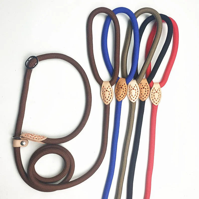Dog training leash with blast collar mechanism in black, blue, coffee, red or white colour options