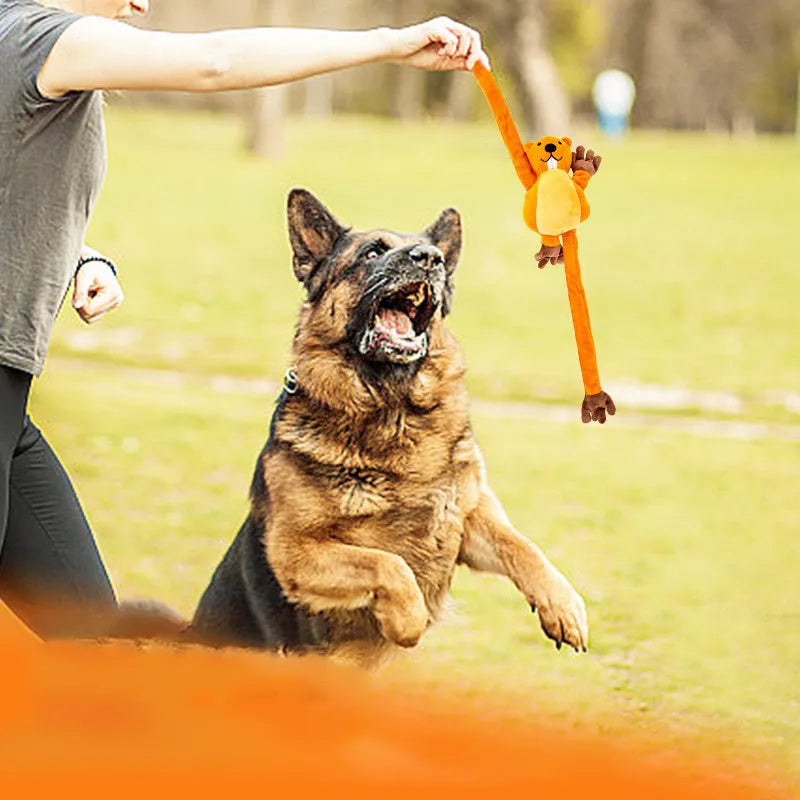 Orange soft plush dog toy with noise-maker for tug-of-war and chewing play
