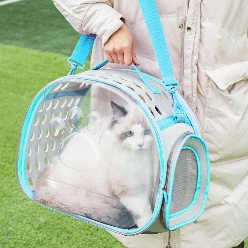 Large transparent cat carrier backpack in hard EVA material showing space capsule design